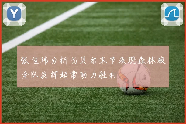 张佳玮分析戈贝尔末节表现森林狼全队发挥超常助力胜利